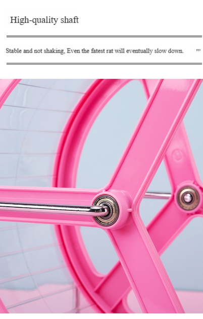 Squirrel Exercise Wheel