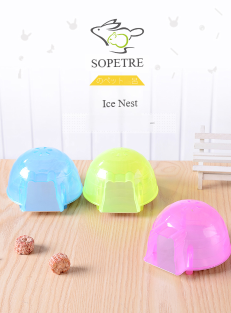 Igloo