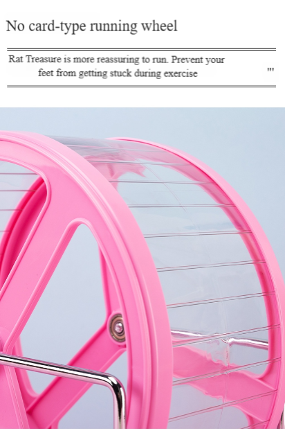 Squirrel Exercise Wheel
