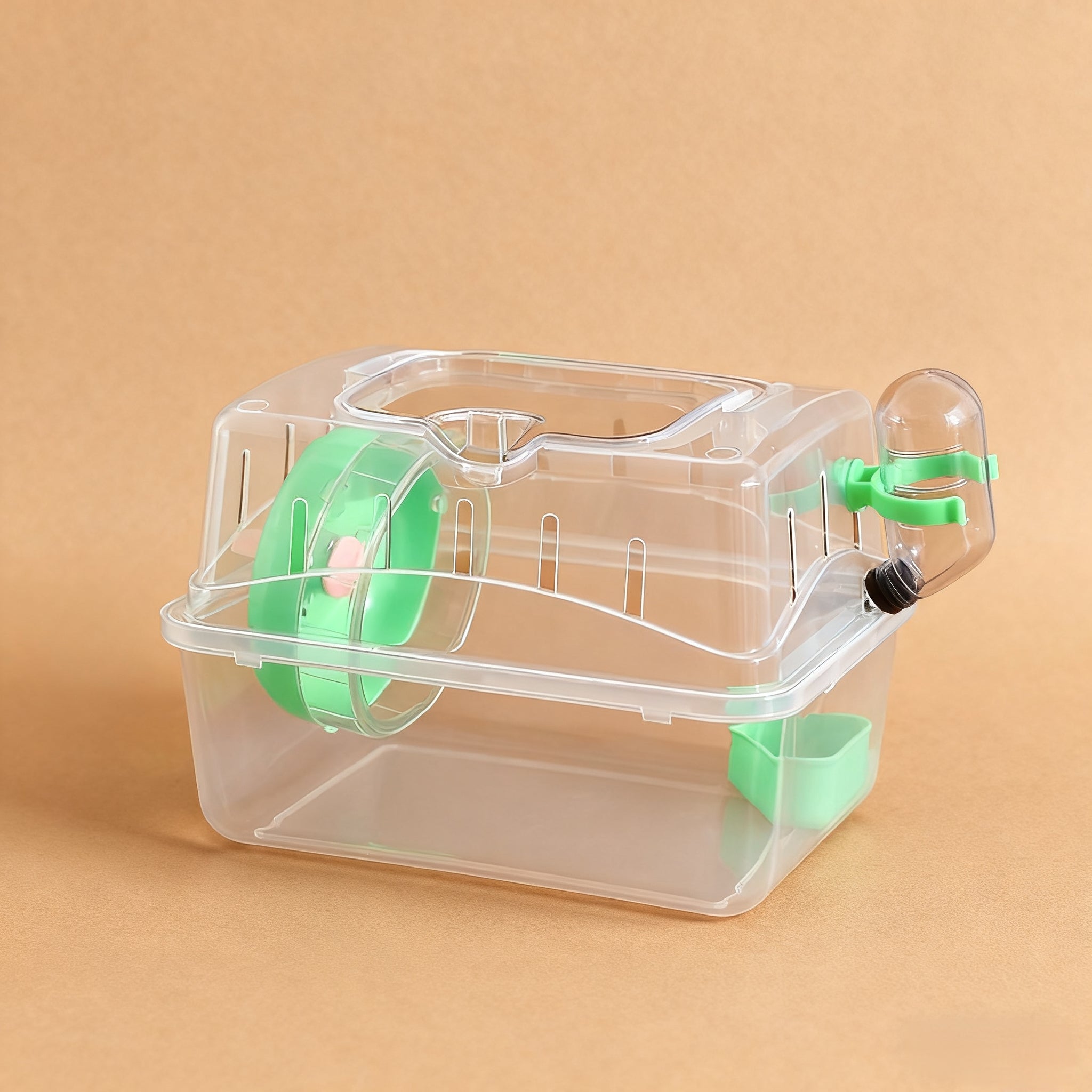 Panoramic transparent cage/Solid color background