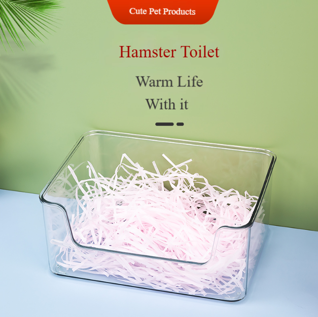 Square Toilet