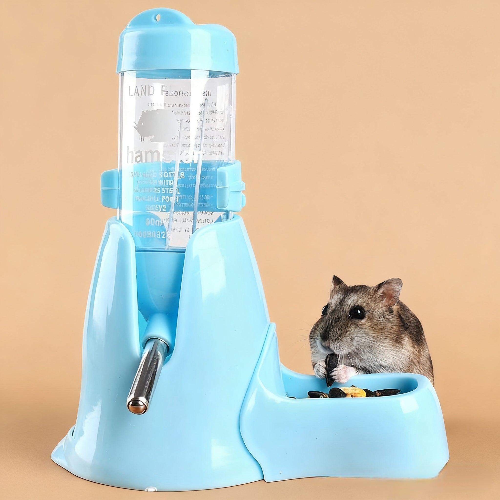 3-in-1 Water Bottle Set