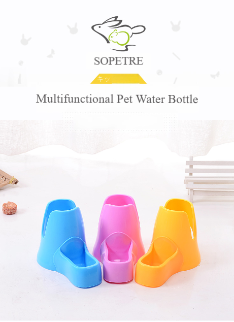 Water Bottle
