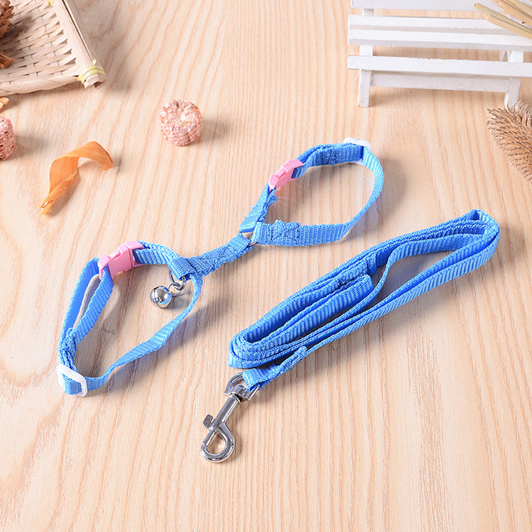Rabbit leash