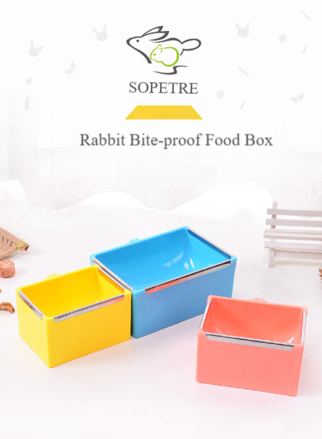 Square Food Bowl