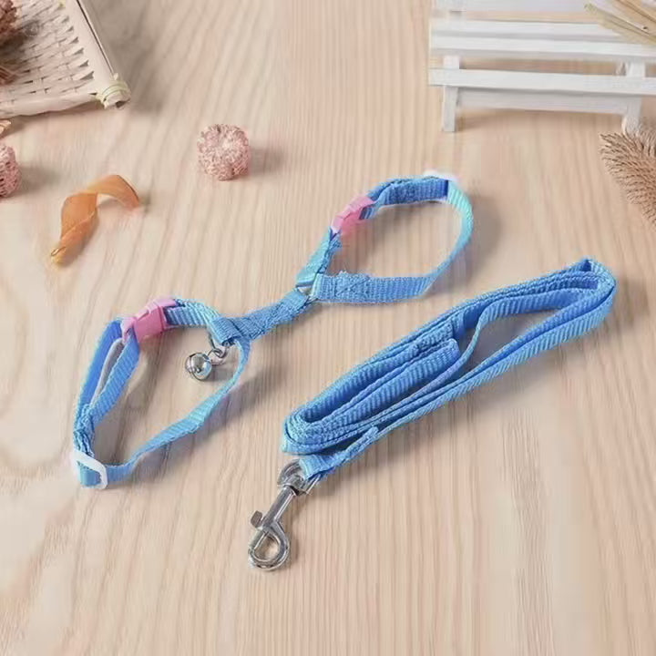 Rabbit leash